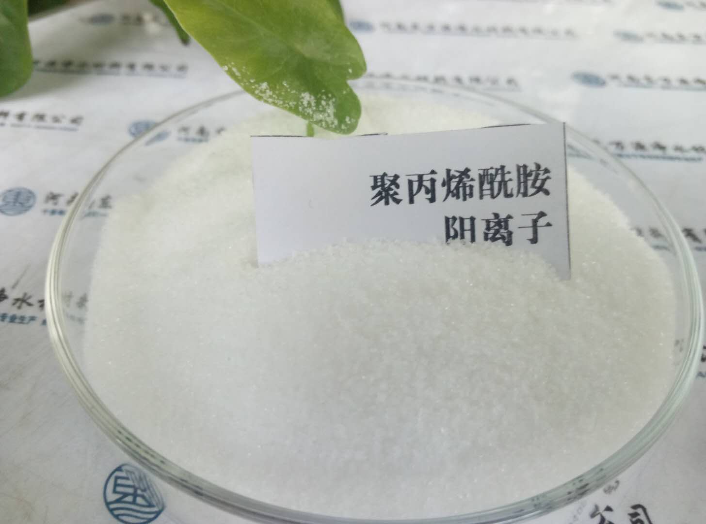 �νzԽ�L���۱�ϩ�����|(zh��)��Խ�������ô��