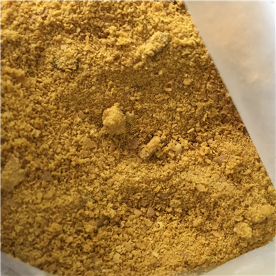 �ۺ��Ȼ��X�S���|���İ��P